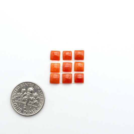 Discover natural Red Coral cabochons with deep crimson hues and smooth polish, ideal for creating timeless handcrafted rings, pendants, and custom designs.