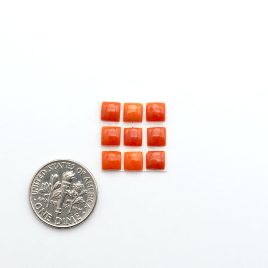 Discover natural Red Coral cabochons with deep crimson hues and smooth polish, ideal for creating timeless handcrafted rings, pendants, and custom designs.