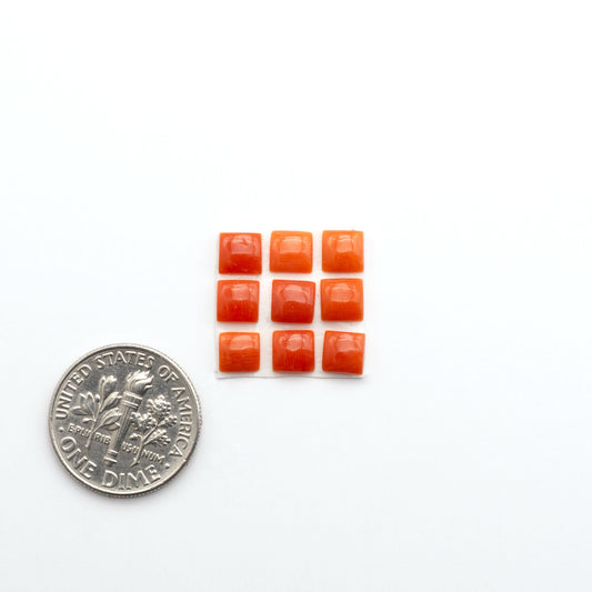 Discover natural Red Coral cabochons with deep crimson hues and smooth polish, ideal for creating timeless handcrafted rings, pendants, and custom designs.
