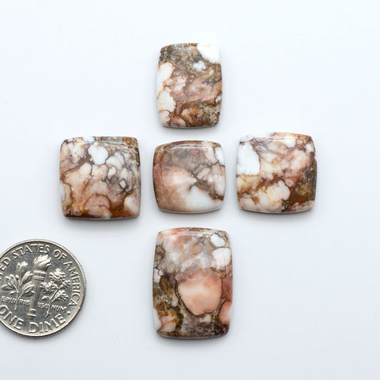 Wild Horse Cabochon are a magnificent addition to any collection. Natural magnesite stones feature a design that will add beauty to any jewelry design.