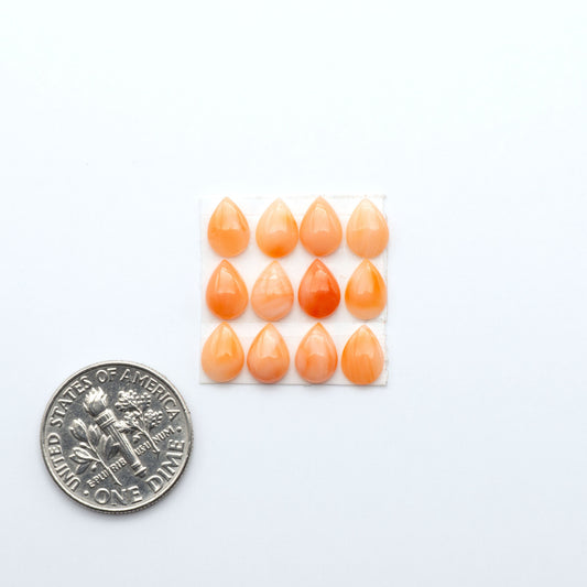 Discover natural pink Coral cabochons with soft salmon hues and smooth polish, ideal for creating timeless handcrafted rings, pendants, and custom designs.