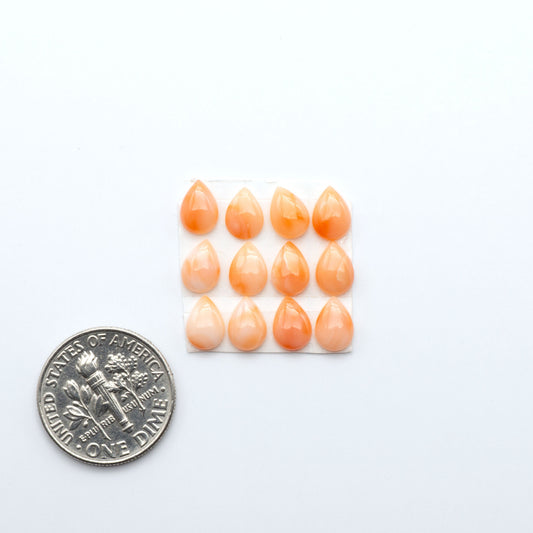 Discover natural pink Coral cabochons with soft salmon hues and smooth polish, ideal for creating timeless handcrafted rings, pendants, and custom designs.