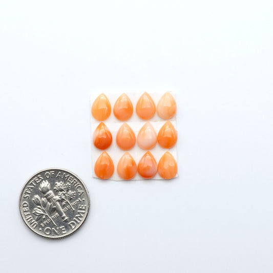Discover natural pink Coral cabochons with soft salmon hues and smooth polish, ideal for creating timeless handcrafted rings, pendants, and custom designs.