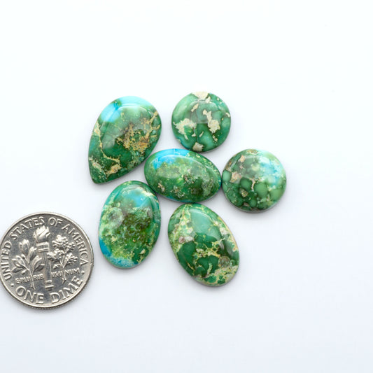 Sonoran Mountain Turquoise showcases a stunning blend of blue and green hues and natural patterns that make it a must-have for any jewelry collection.