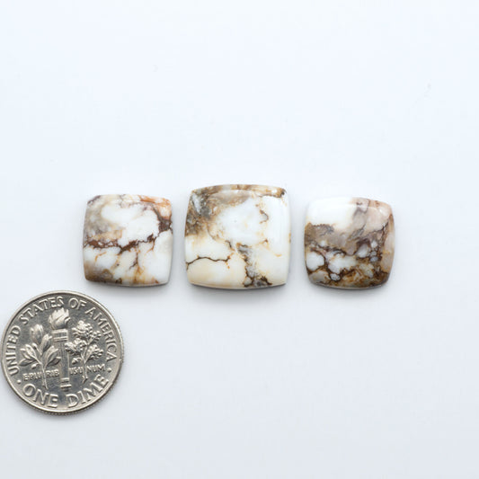 Wild Horse Cabochon are a magnificent addition to any collection. Natural magnesite stones feature a design that will add beauty to any jewelry design.