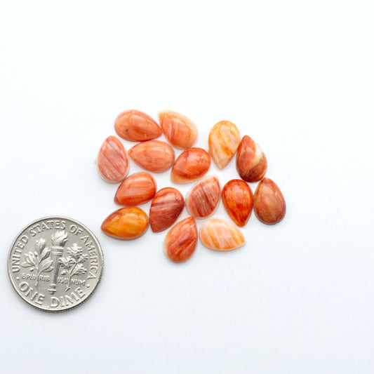 Add a unique touch to your jewelry designs with our beautiful 100% Natural Spiny Oyster Shell Cabochons. Incorporate the beauty of the sea into your creations.
