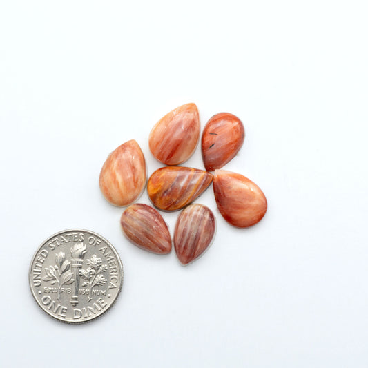 Add a unique touch to your jewelry designs with our beautiful 100% Natural Spiny Oyster Shell Cabochons. Incorporate the beauty of the sea into your creations.