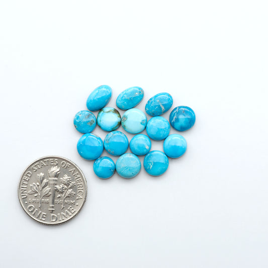 Blue Bird Turquoise