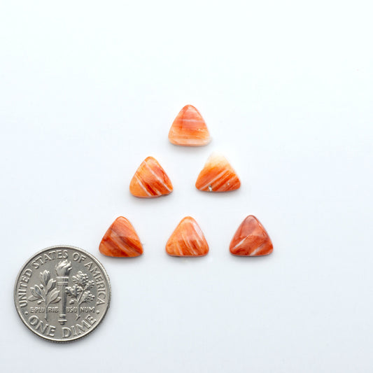 Add a unique touch to your jewelry designs with our beautiful 100% Natural Spiny Oyster Shell Cabochons. Incorporate the beauty of the sea into your creations.