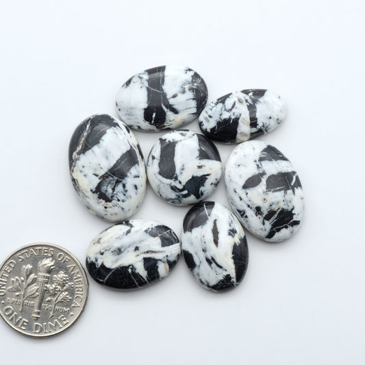 White Buffalo Stone Cabochons