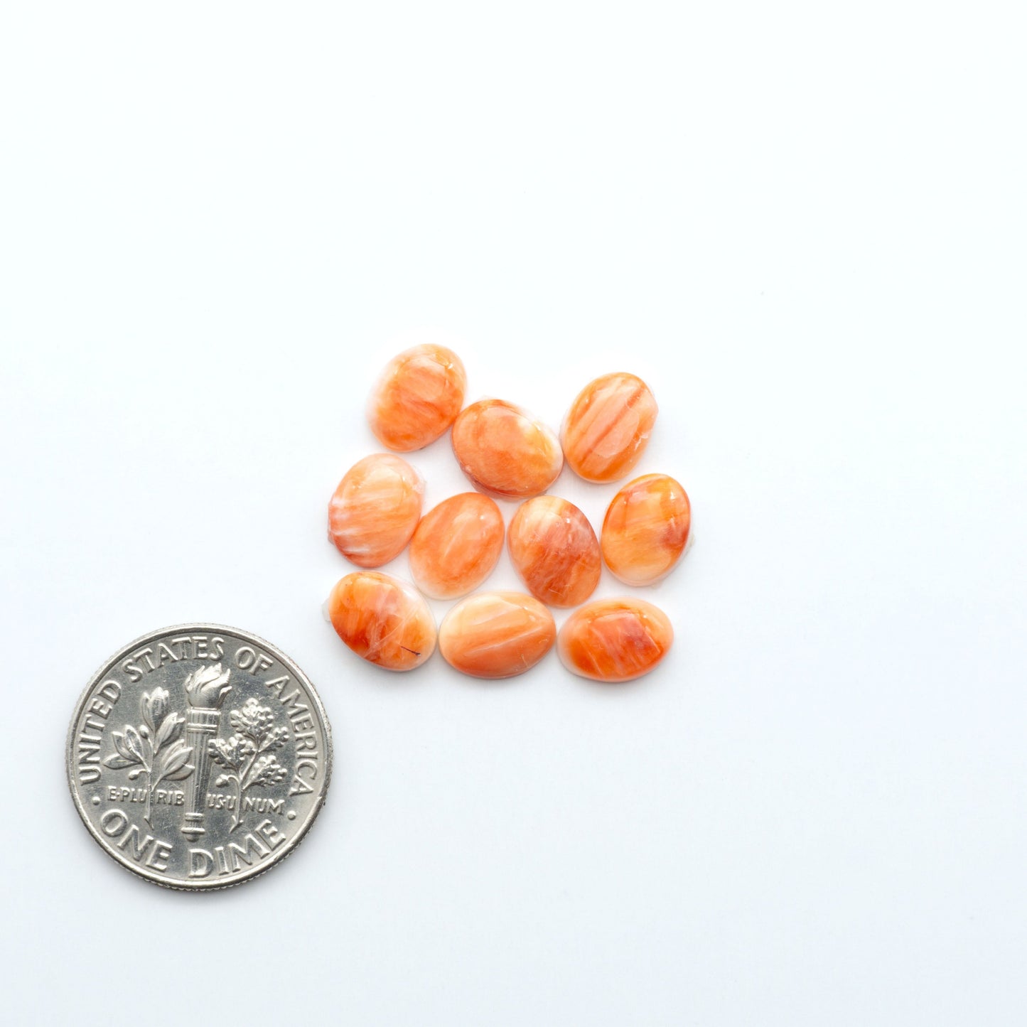 Add a unique touch to your jewelry designs with our beautiful 100% Natural Spiny Oyster Shell Cabochons. Incorporate the beauty of the sea into your creations.