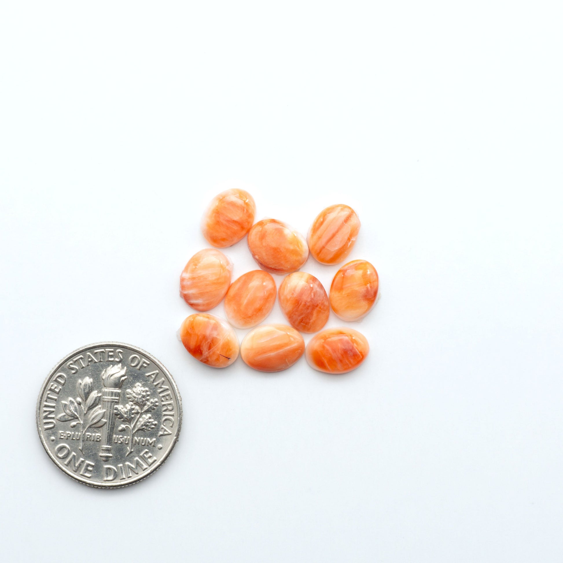 Add a unique touch to your jewelry designs with our beautiful 100% Natural Spiny Oyster Shell Cabochons. Incorporate the beauty of the sea into your creations.