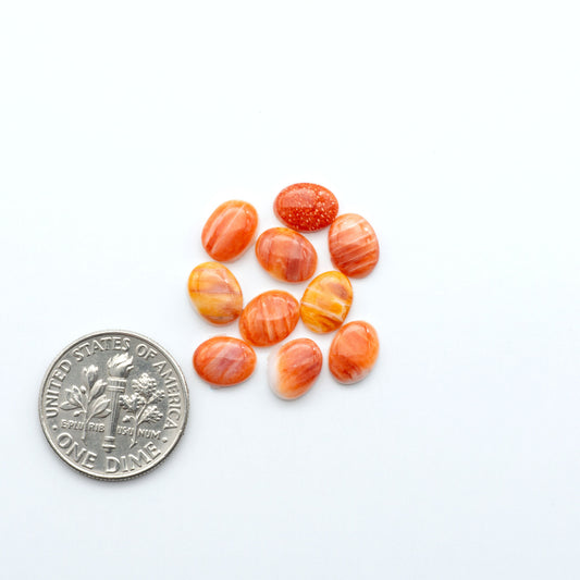 Add a unique touch to your jewelry designs with our beautiful 100% Natural Spiny Oyster Shell Cabochons. Incorporate the beauty of the sea into your creations.