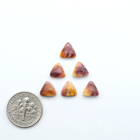 Add a unique touch to your jewelry designs with our beautiful 100% Natural Spiny Oyster Shell Cabochons. Incorporate the beauty of the sea into your creations.