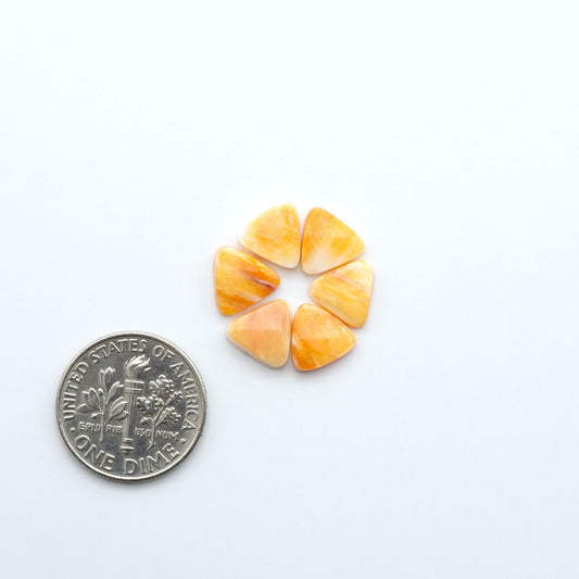 Add a unique touch to your jewelry designs with our beautiful 100% Natural Spiny Oyster Shell Cabochons. Incorporate the beauty of the sea into your creations.