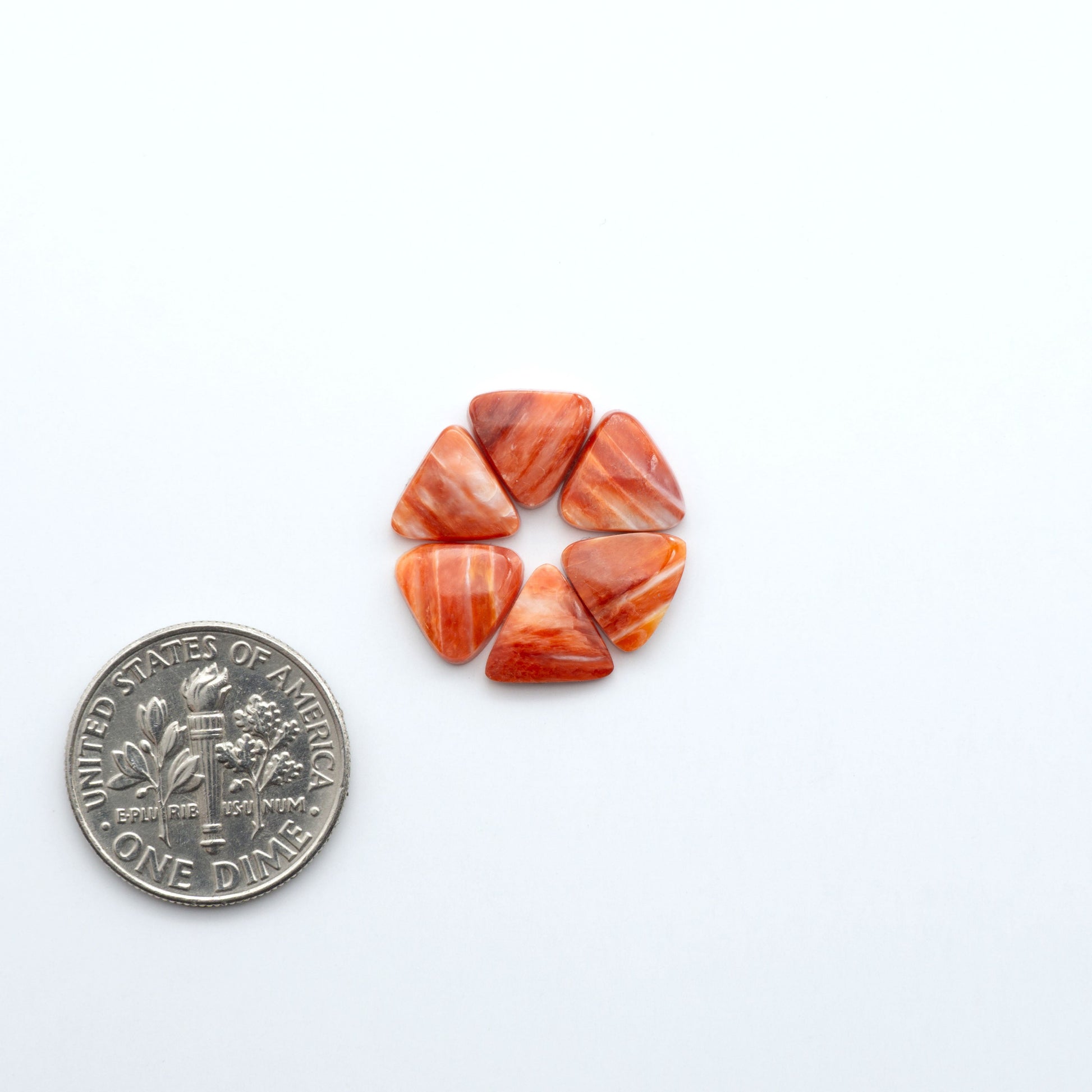 Add a unique touch to your jewelry designs with our beautiful 100% Natural Spiny Oyster Shell Cabochons. Incorporate the beauty of the sea into your creations.