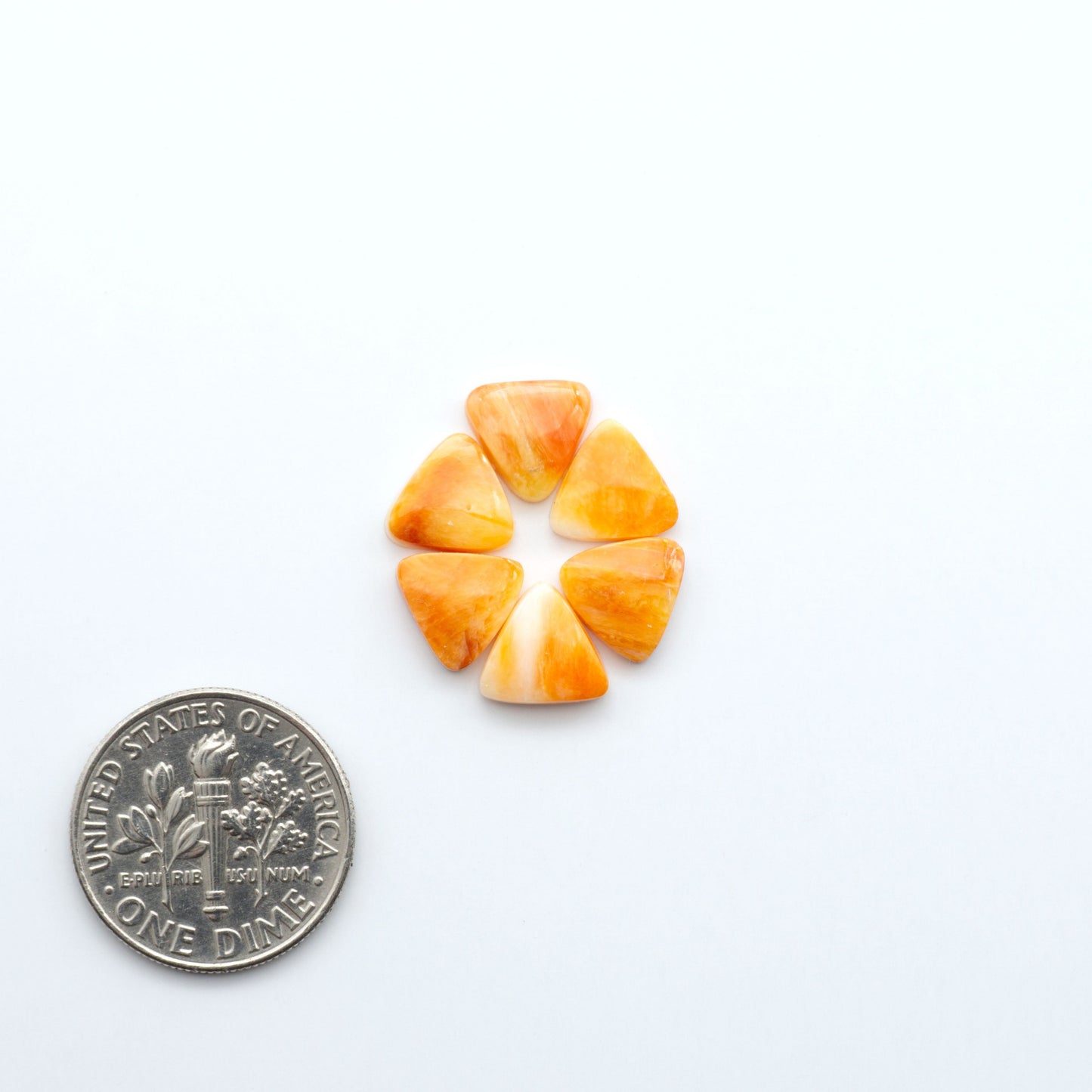 Add a unique touch to your jewelry designs with our beautiful 100% Natural Spiny Oyster Shell Cabochons. Incorporate the beauty of the sea into your creations.