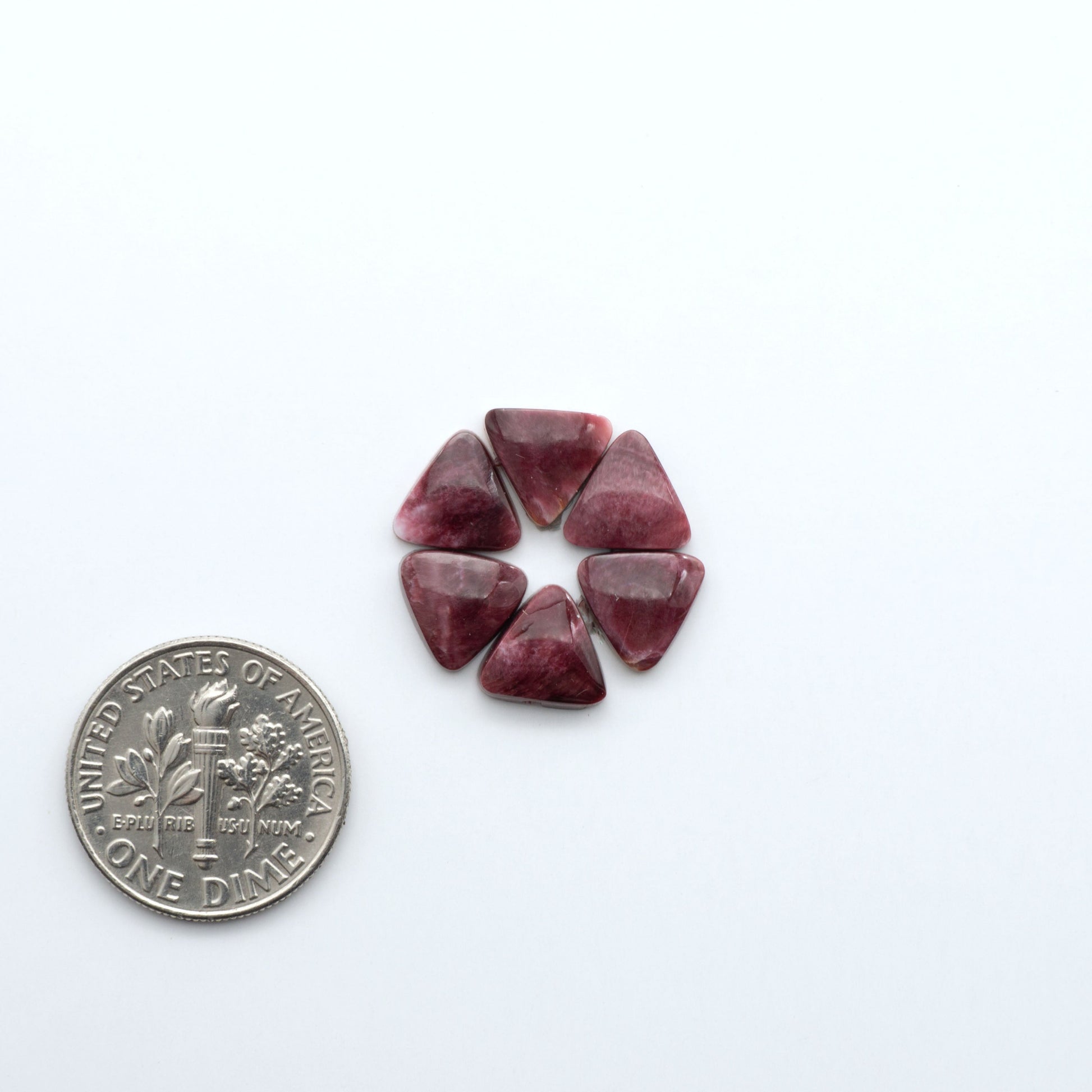 Add a unique touch to your jewelry designs with our beautiful 100% Natural Spiny Oyster Shell Cabochons. Incorporate the beauty of the sea into your creations.