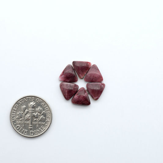 Add a unique touch to your jewelry designs with our beautiful 100% Natural Spiny Oyster Shell Cabochons. Incorporate the beauty of the sea into your creations.