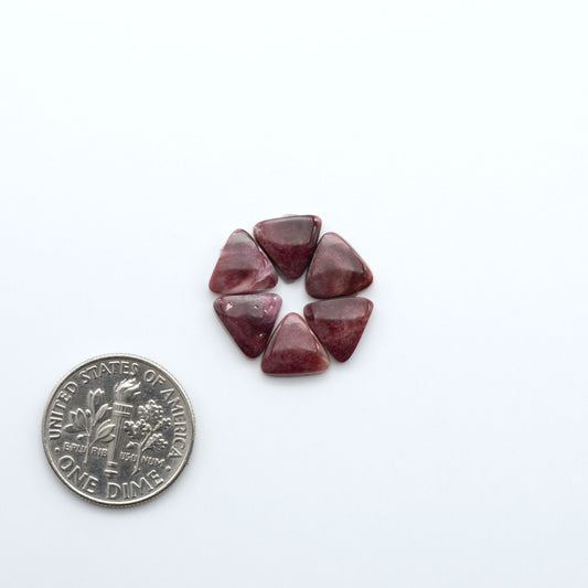 Spiny Oyster Cabochons