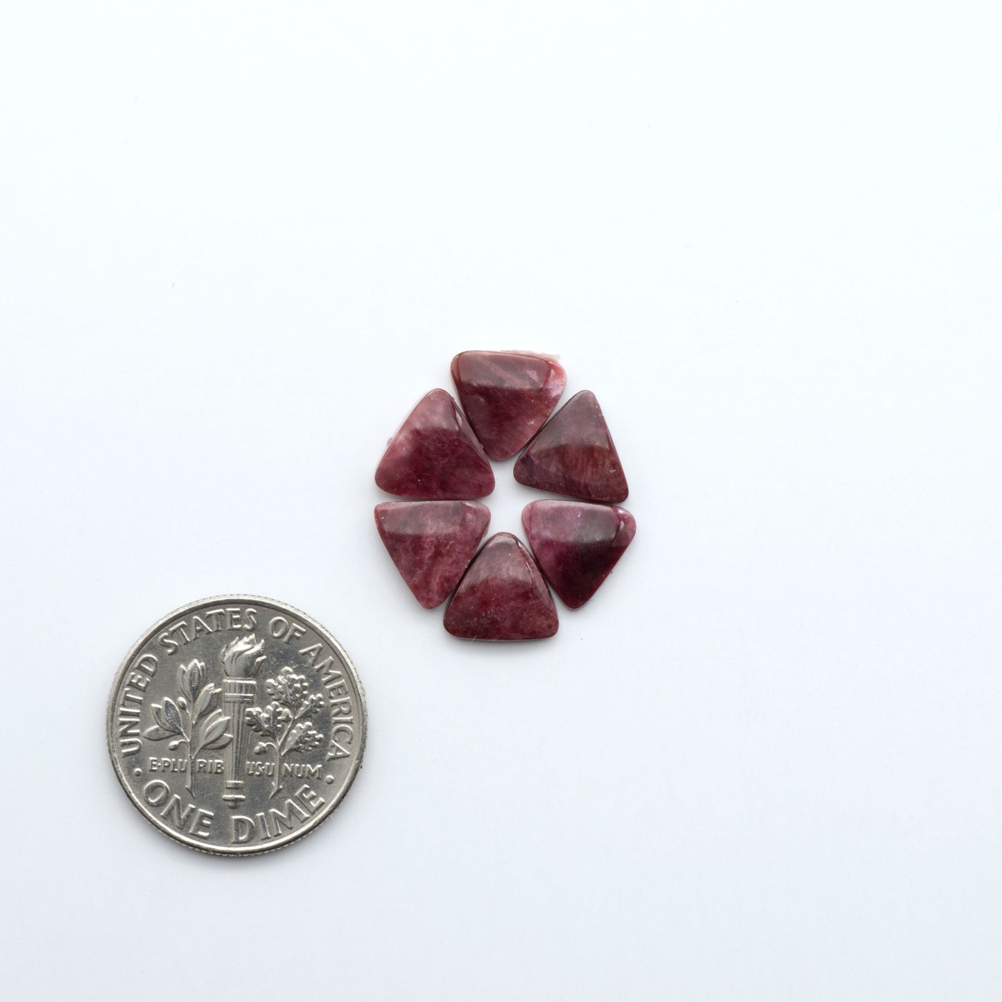 Add a unique touch to your jewelry designs with our beautiful 100% Natural Spiny Oyster Shell Cabochons. Incorporate the beauty of the sea into your creations.