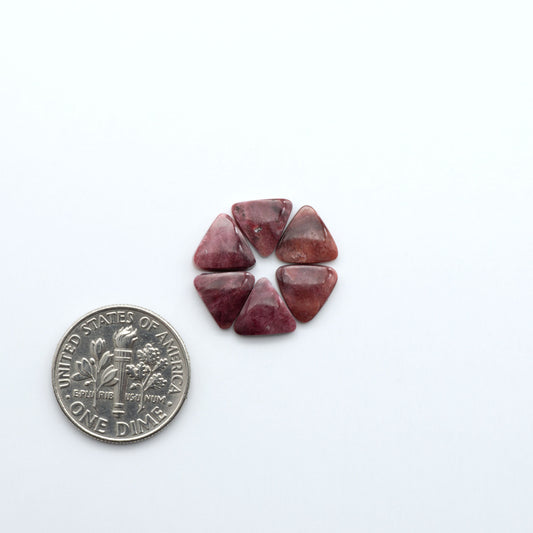 Add a unique touch to your jewelry designs with our beautiful 100% Natural Spiny Oyster Shell Cabochons. Incorporate the beauty of the sea into your creations.