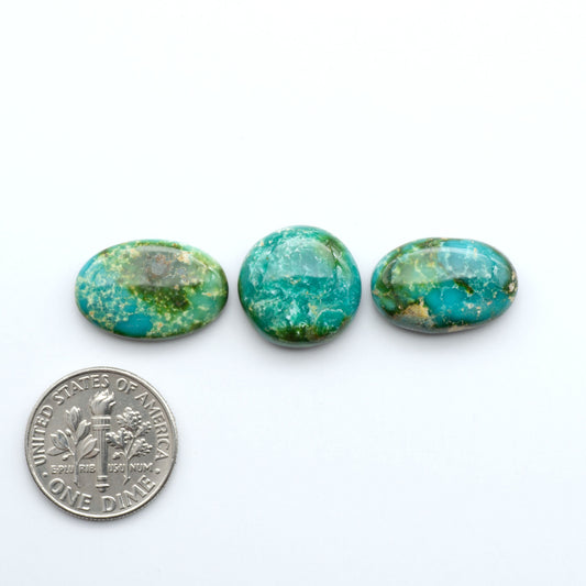 Sonoran Mountain Turquoise showcases a stunning blend of blue and green hues and natural patterns that make it a must-have for any jewelry collection.