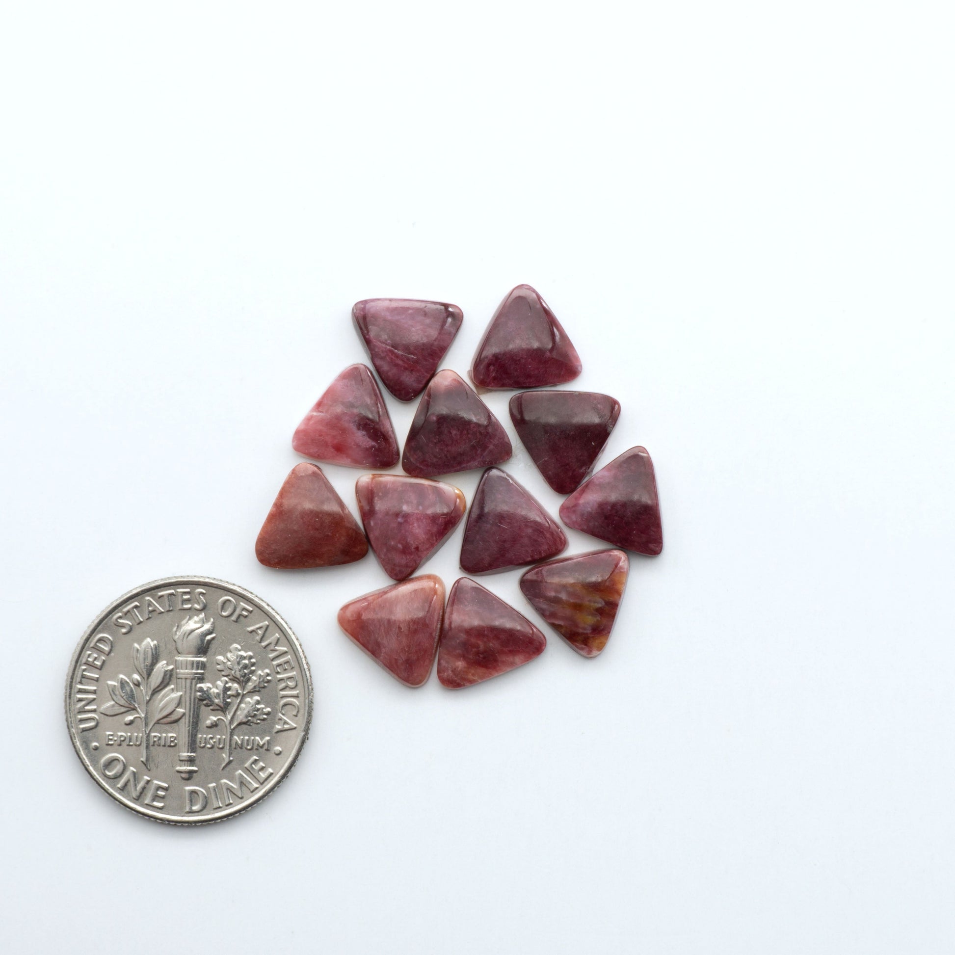 Add a unique touch to your jewelry designs with our beautiful 100% Natural Spiny Oyster Shell Cabochons. Incorporate the beauty of the sea into your creations.