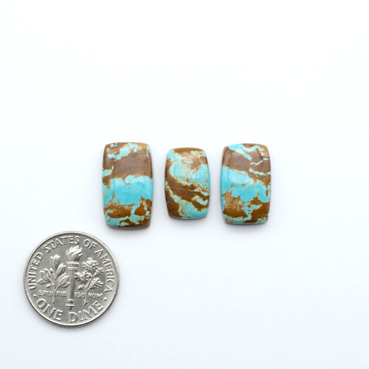 Number 8 Turquoise Cabochons have been selected for their quality and unique appearance. Don't miss the chance to add a one-of-a-kind piece to your collection.
