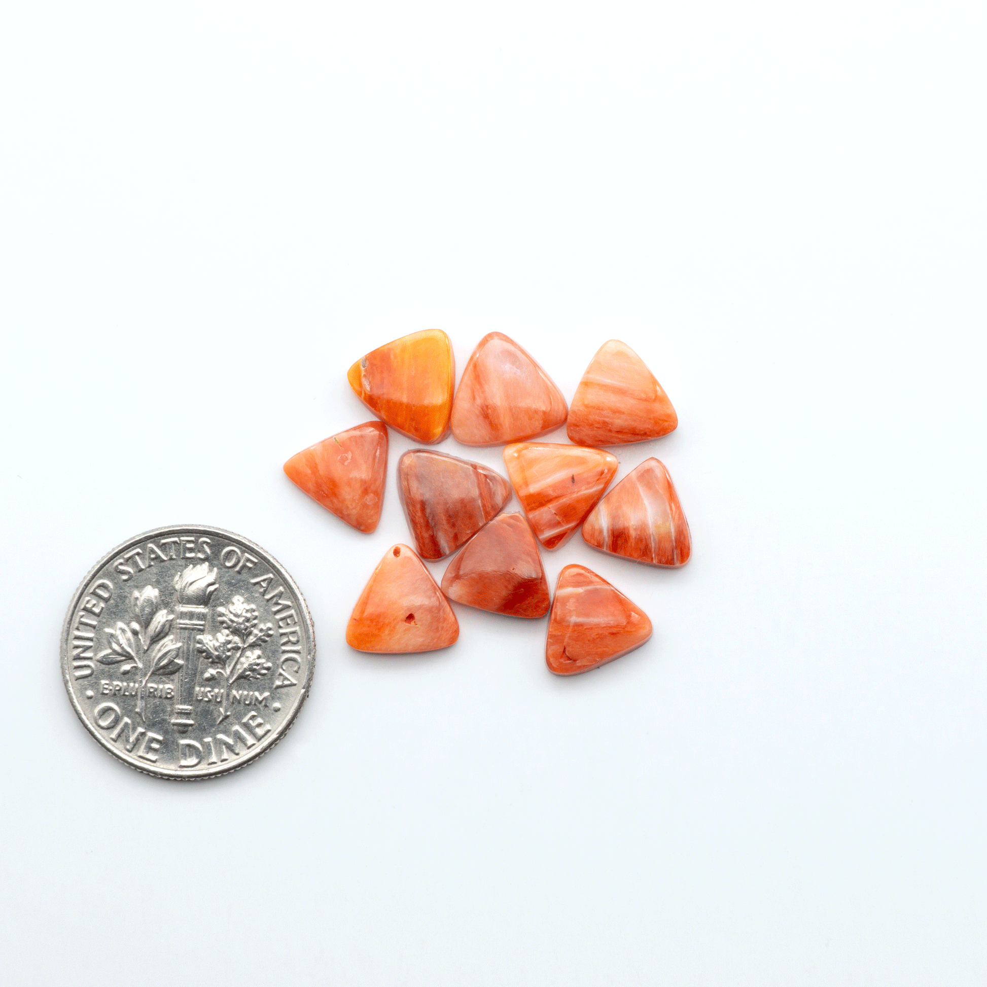 Add a unique touch to your jewelry designs with our beautiful 100% Natural Spiny Oyster Shell Cabochons. Incorporate the beauty of the sea into your creations.