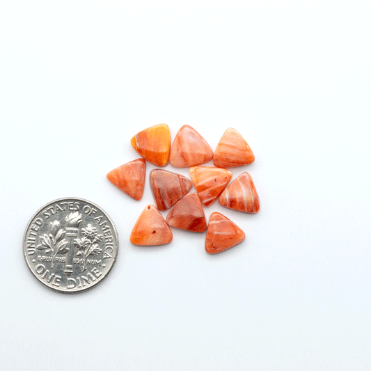 Add a unique touch to your jewelry designs with our beautiful 100% Natural Spiny Oyster Shell Cabochons. Incorporate the beauty of the sea into your creations.