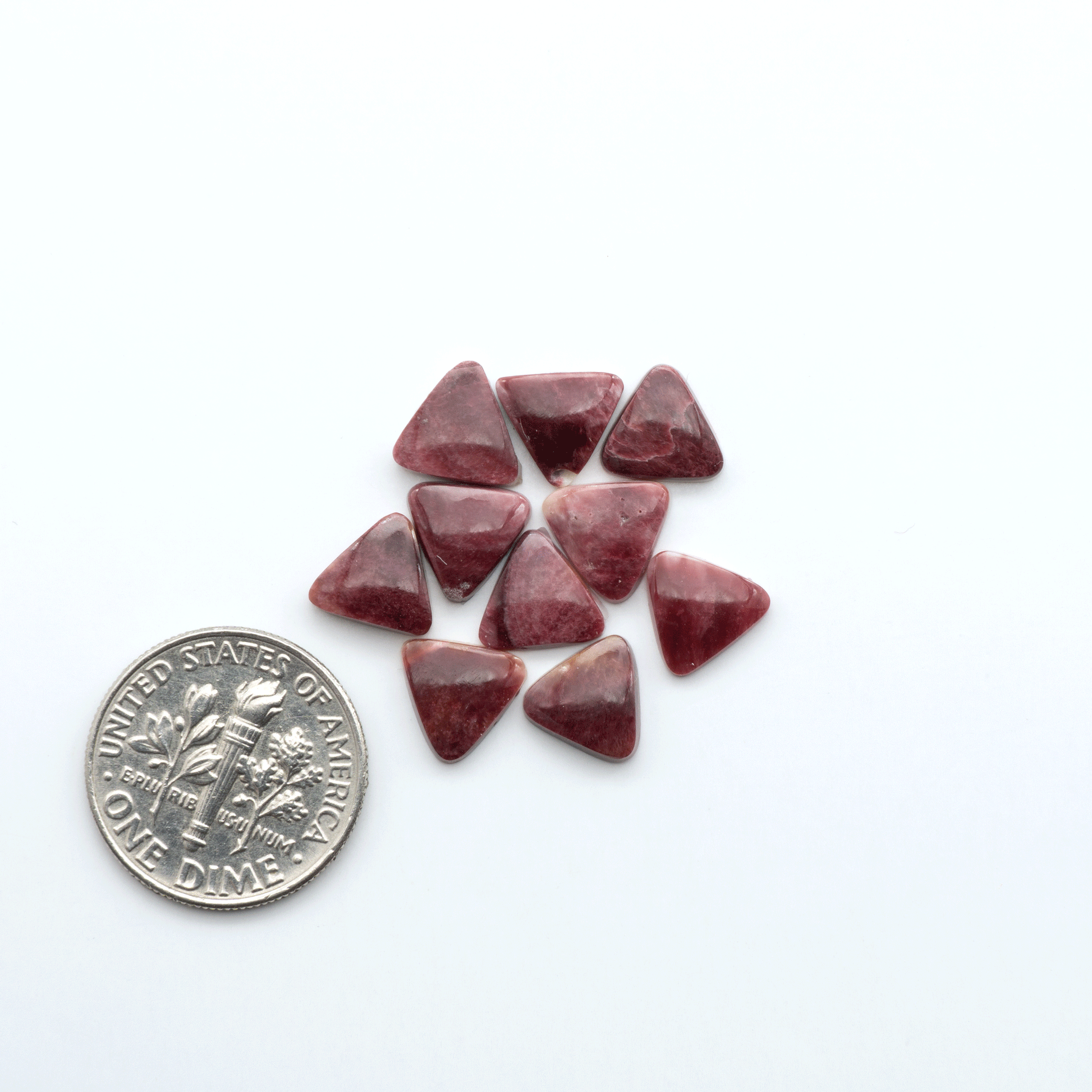 Add a unique touch to your jewelry designs with our beautiful 100% Natural Spiny Oyster Shell Cabochons. Incorporate the beauty of the sea into your creations.