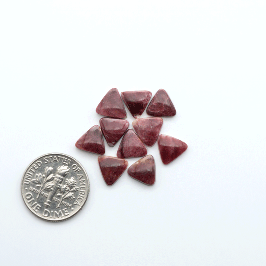 Add a unique touch to your jewelry designs with our beautiful 100% Natural Spiny Oyster Shell Cabochons. Incorporate the beauty of the sea into your creations.