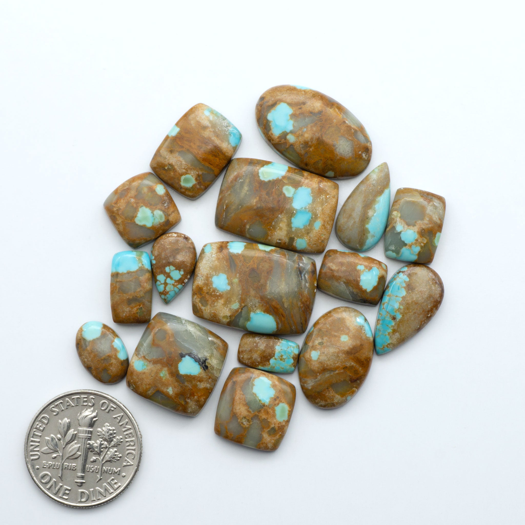 Number 8 Turquoise Cabochons – Cutting Edge Turquoise