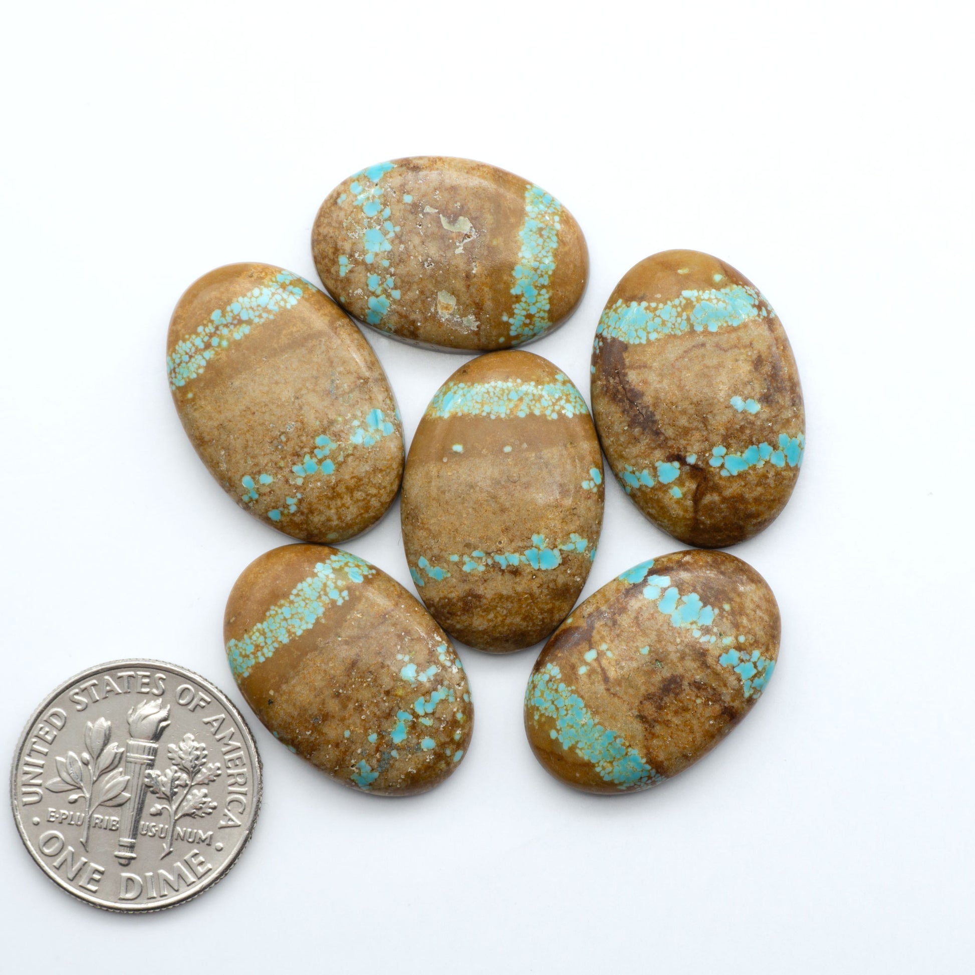 Number 8 Turquoise Cabochons have been selected for their quality and unique appearance. Don't miss the chance to add a one-of-a-kind piece to your collection.