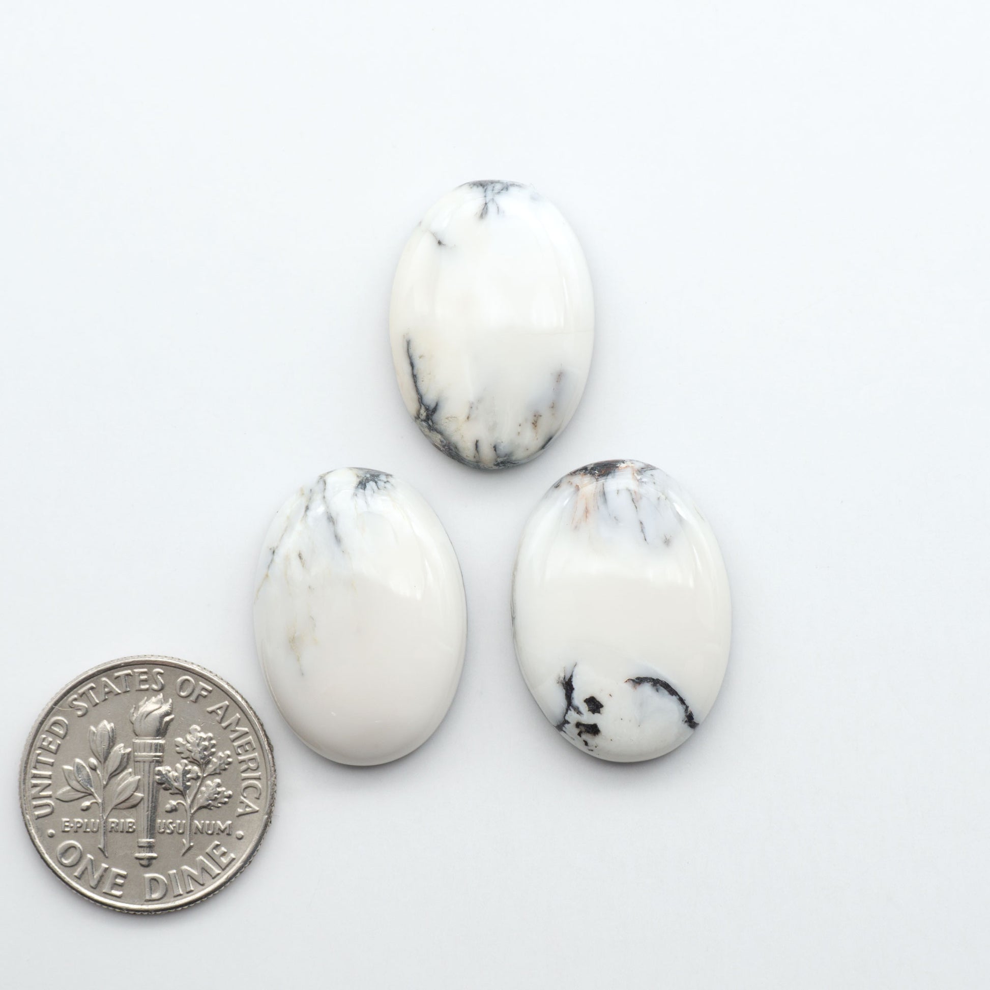 Three oval-shaped white stones with black markings on a white background, one next to a U.S. dime for size comparison.