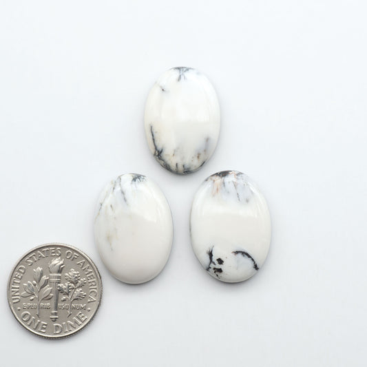 Three oval-shaped white stones with black markings on a white background, one next to a U.S. dime for size comparison.