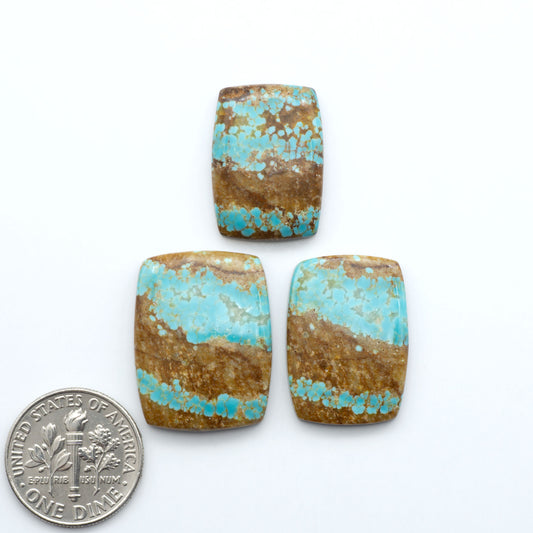 Number 8 Turquoise Cabochons have been selected for their quality and unique appearance. Don't miss the chance to add a one-of-a-kind piece to your collection.