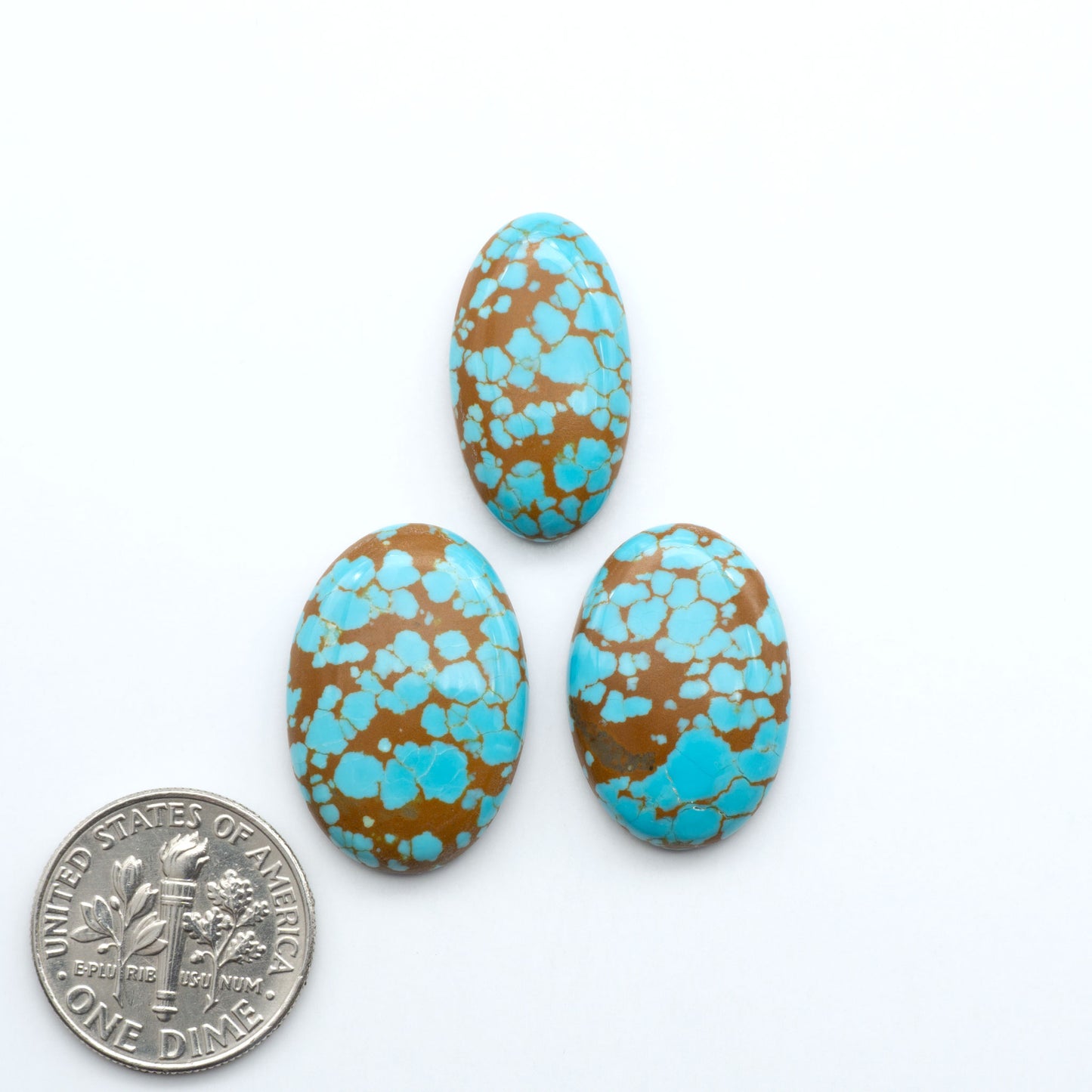 Number 8 Turquoise Cabochons have been selected for their quality and unique appearance. Don't miss the chance to add a one-of-a-kind piece to your collection.