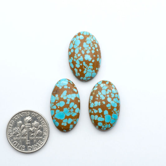 Number 8 Turquoise Cabochons have been selected for their quality and unique appearance. Don't miss the chance to add a one-of-a-kind piece to your collection.