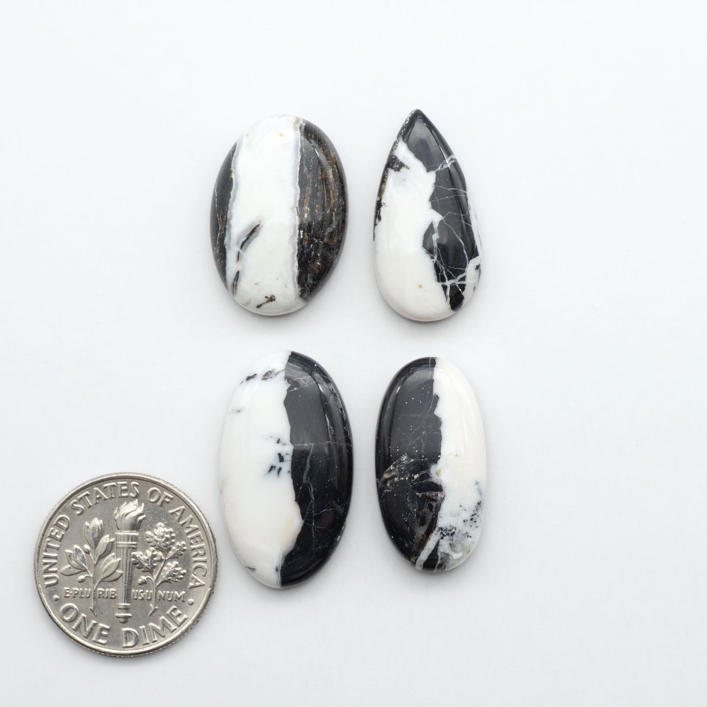 Cabujones de piedra de búfalo blanco