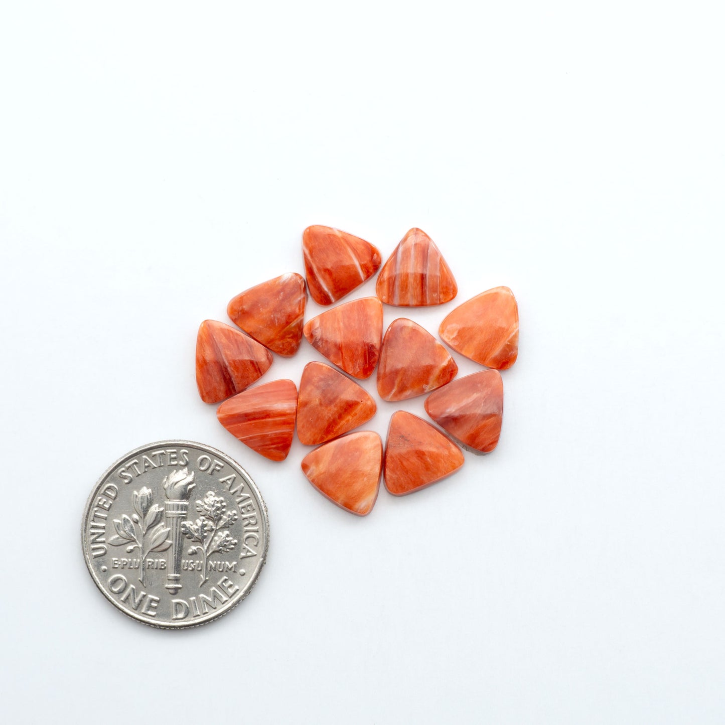 Add a unique touch to your jewelry designs with our beautiful 100% Natural Spiny Oyster Shell Cabochons. Incorporate the beauty of the sea into your creations.