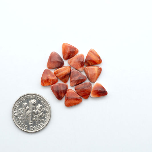 Add a unique touch to your jewelry designs with our beautiful 100% Natural Spiny Oyster Shell Cabochons. Incorporate the beauty of the sea into your creations.