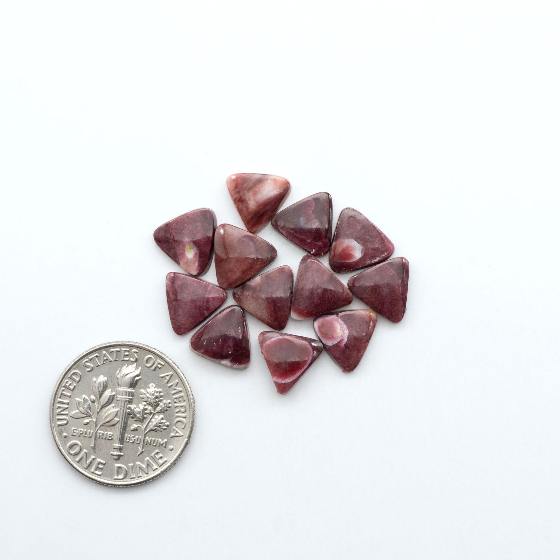 Add a unique touch to your jewelry designs with our beautiful 100% Natural Spiny Oyster Shell Cabochons. Incorporate the beauty of the sea into your creations.