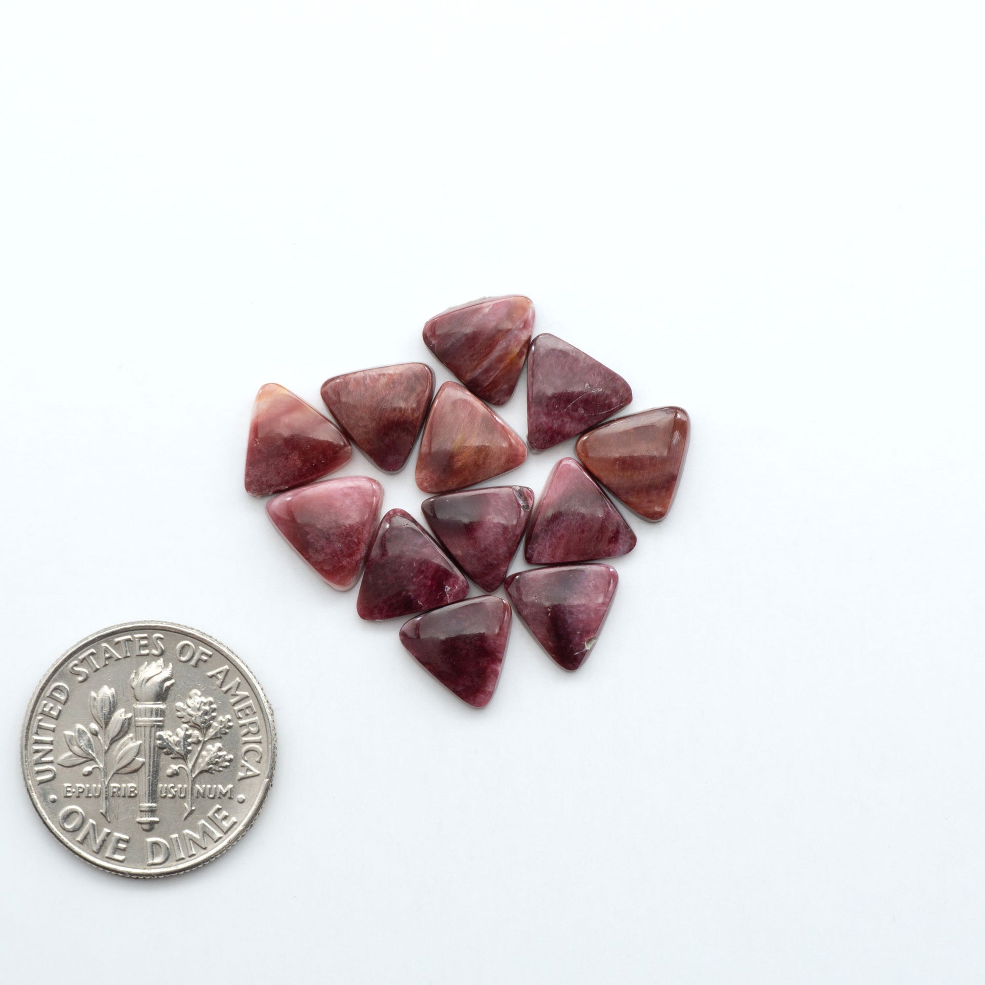 Add a unique touch to your jewelry designs with our beautiful 100% Natural Spiny Oyster Shell Cabochons. Incorporate the beauty of the sea into your creations.