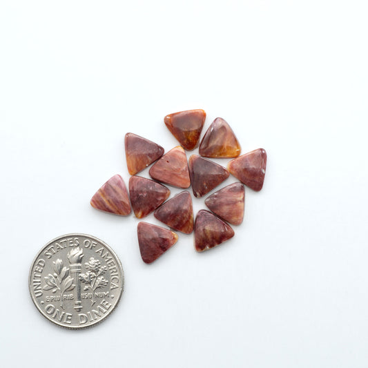 Add a unique touch to your jewelry designs with our beautiful 100% Natural Spiny Oyster Shell Cabochons. Incorporate the beauty of the sea into your creations.