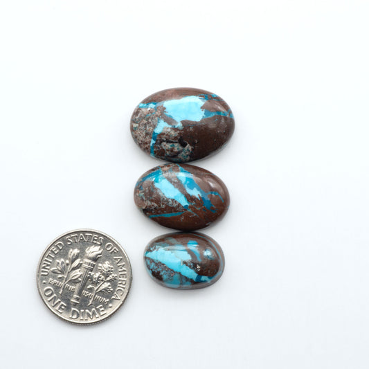 Rare Bisbee Turquoise cabochons with rich blue color and classic brown matrix. Perfect for jewelry makers, collectors, and lovers of fine American turquoise.