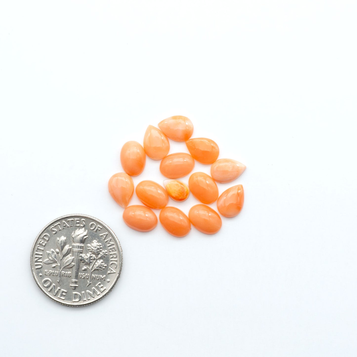 Discover natural pink Coral cabochons with soft salmon hues and smooth polish, ideal for creating timeless handcrafted rings, pendants, and custom designs.