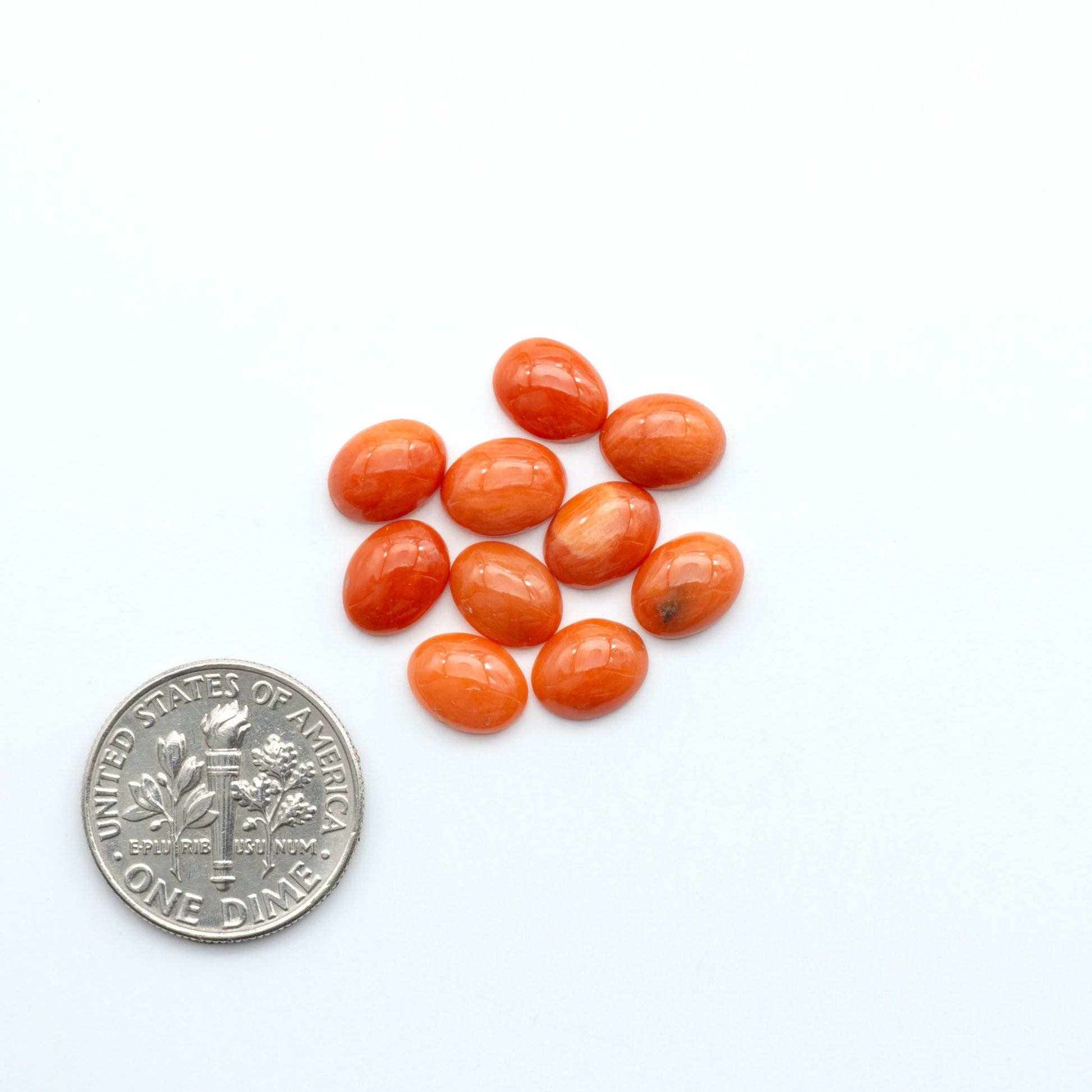 Discover natural Red Coral cabochons with deep crimson hues and smooth polish, ideal for creating timeless handcrafted rings, pendants, and custom designs.