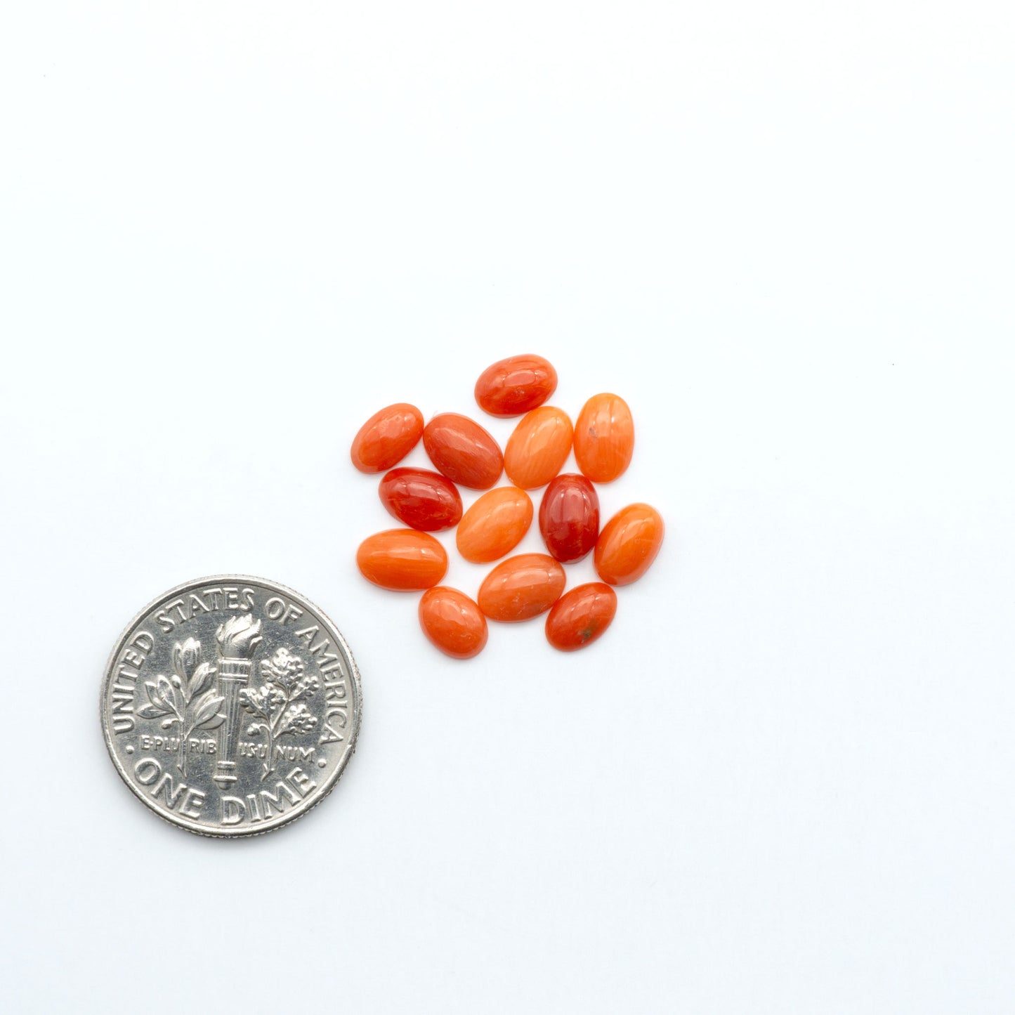 Discover natural Red Coral cabochons with deep crimson hues and smooth polish, ideal for creating timeless handcrafted rings, pendants, and custom designs.